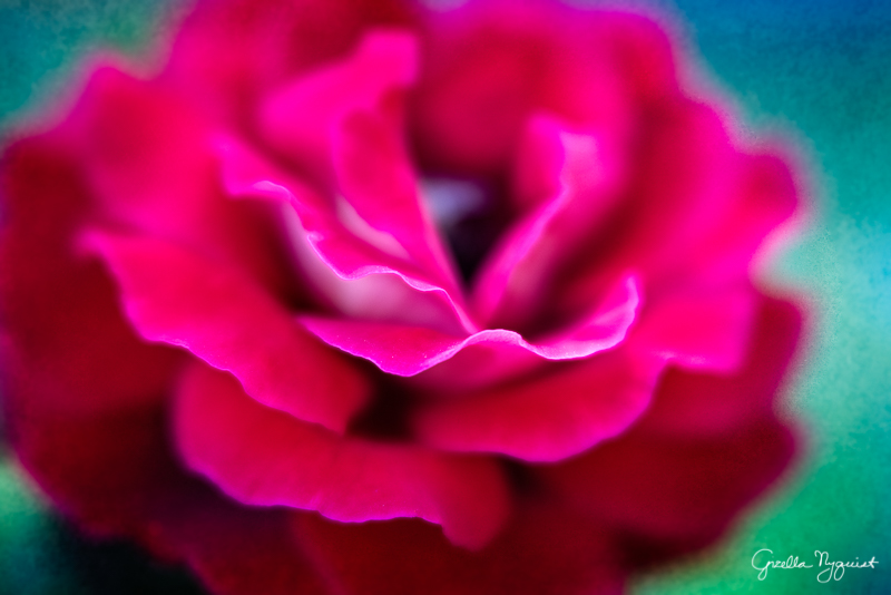 Same Subject, Different Lenses (Traveling Burnside Project)