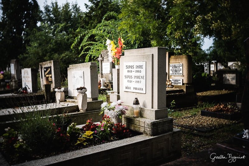 Visiting a Hungarian Cemetery with the Burnside (Traveling Burnside Project)