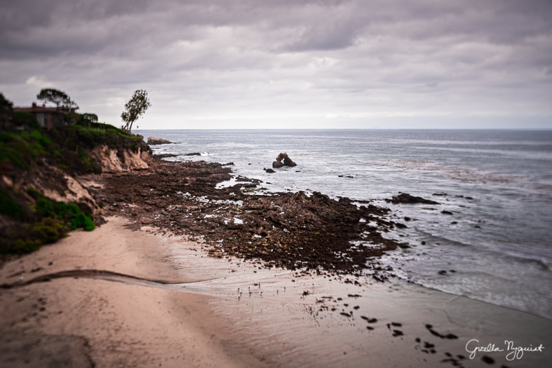 My Final Thoughts on the Traveling Burnside Project