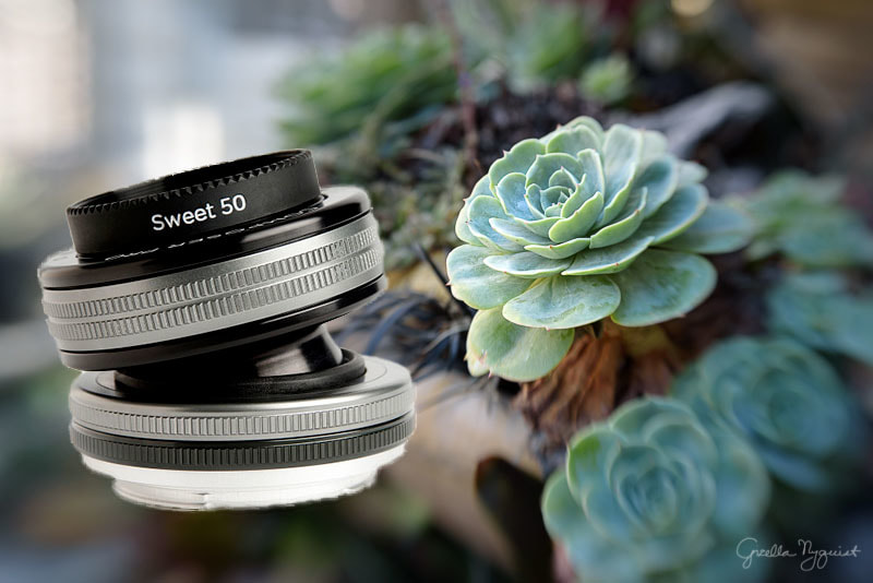 Practicing with the Lensbaby Sweet 50