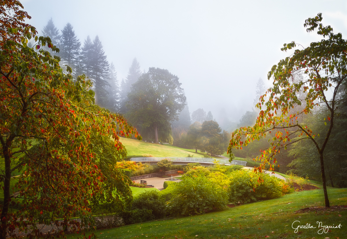 An Autumn Trip to Oregon