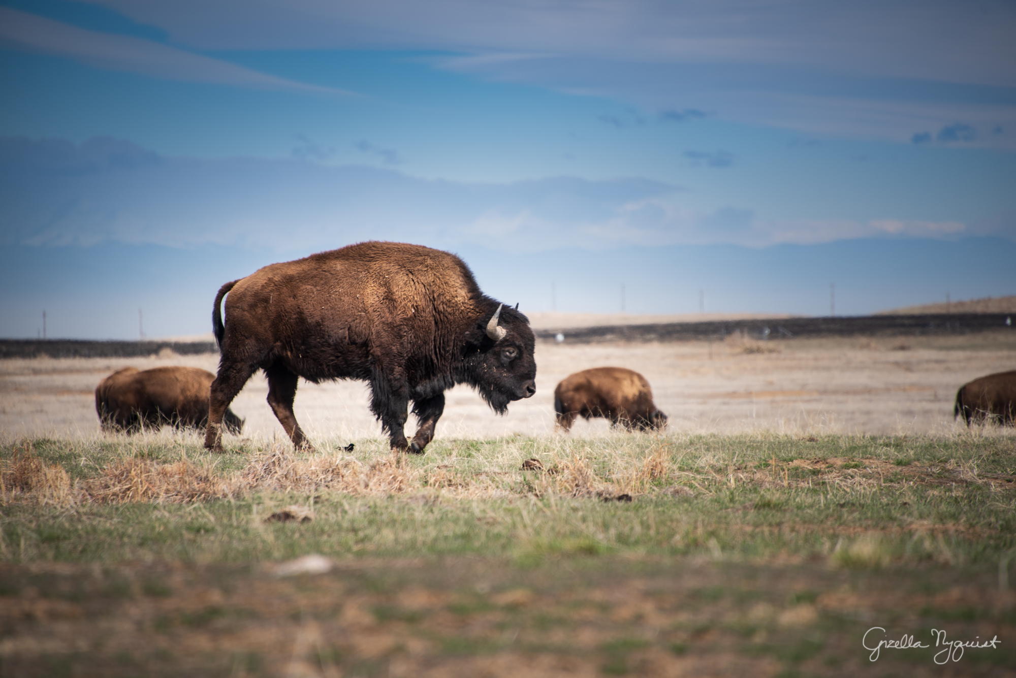 Rocky Mountain Arsenal – Part 2