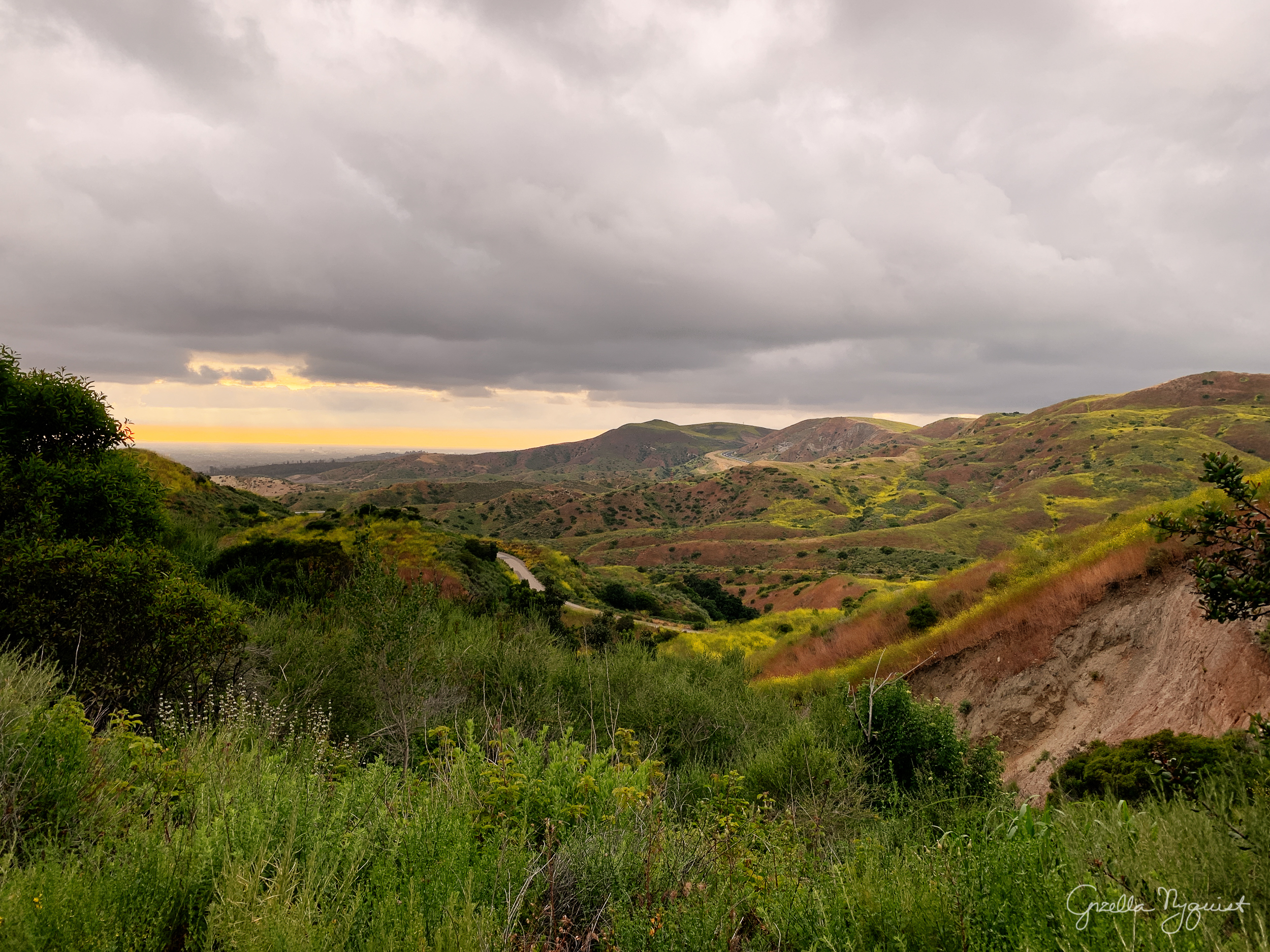 Hicks Haul Road Hike
