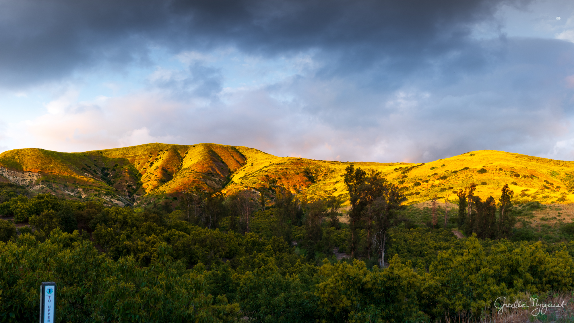 Orchard Hills Twilight Hike