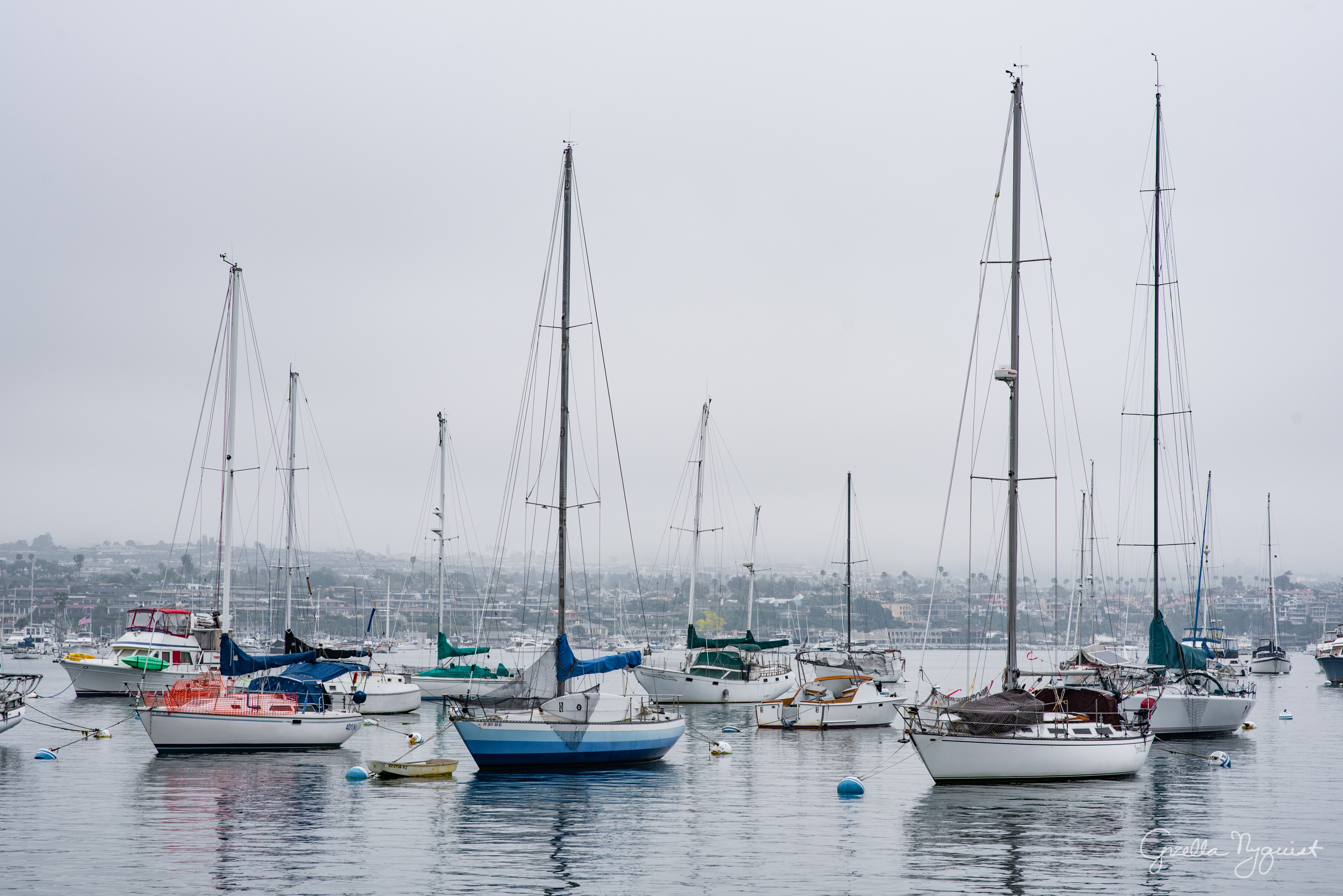 Whale Watching Trip – Teaser