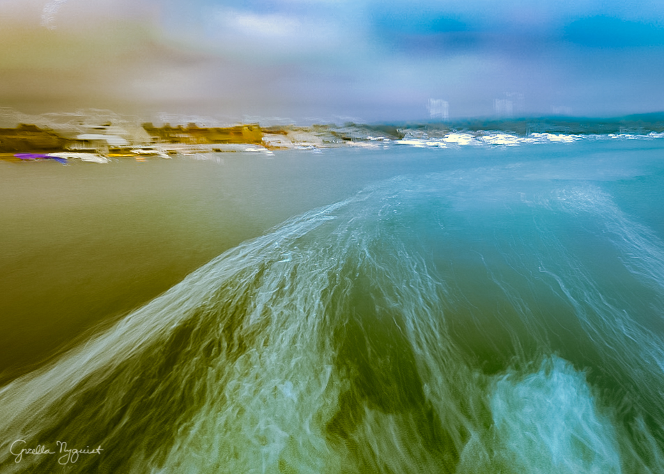 Whale Watching – Final Images