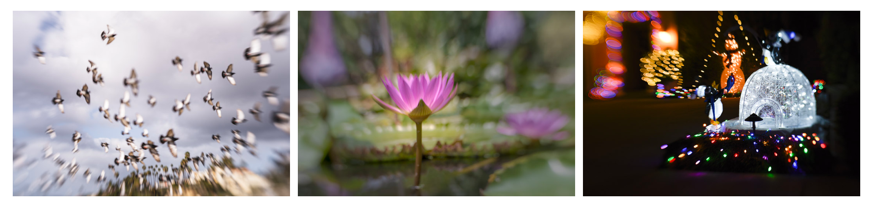 Perfect Imperfection – Something I Can Achieve with my Lensbaby Lenses