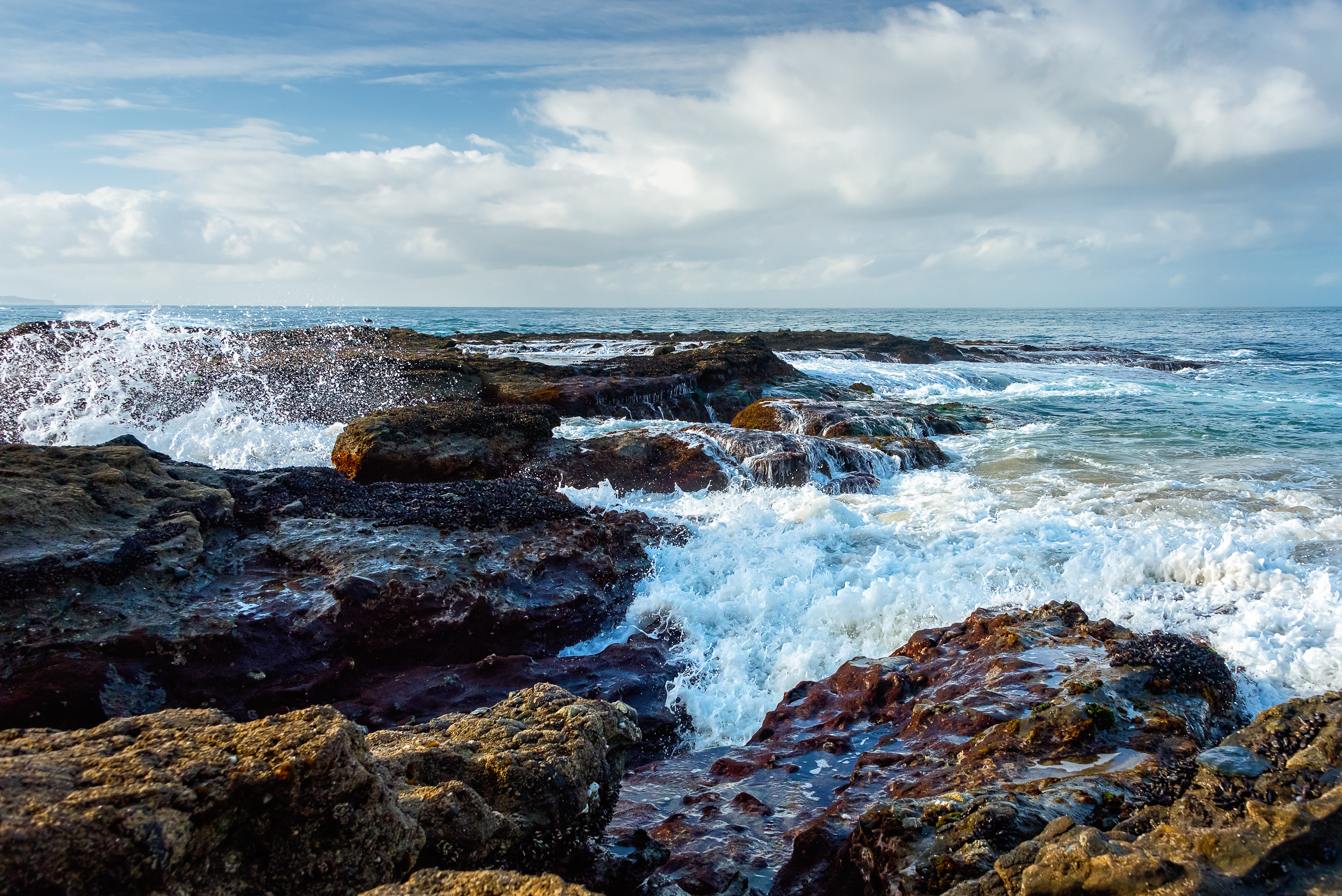 A Visit to Shaw’s Cove Beach – with a Surprise Find