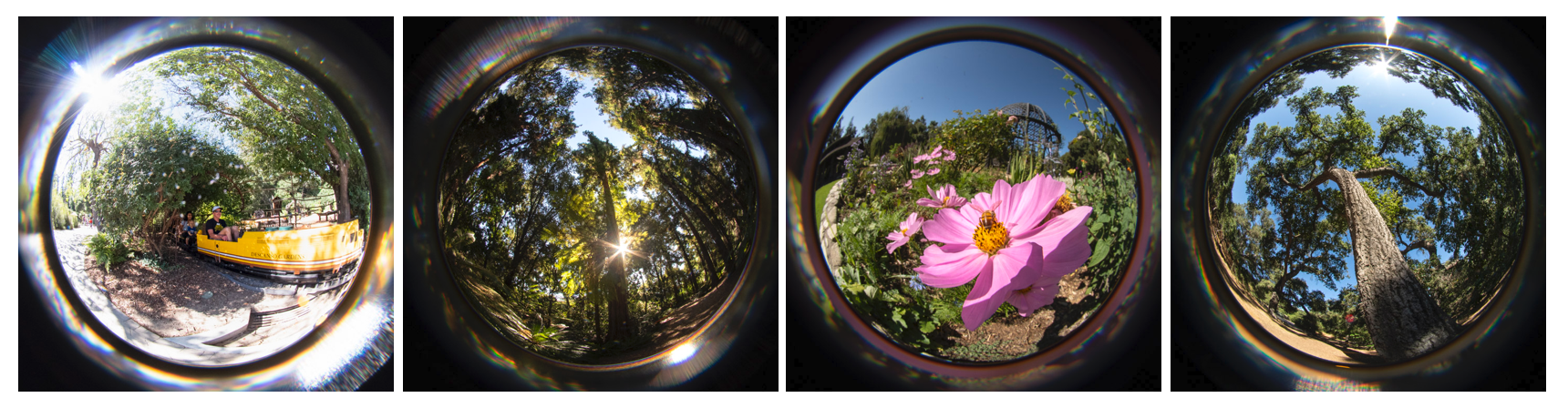 Walks with the Lensbaby Fisheye – Lensbaby Blog Circle