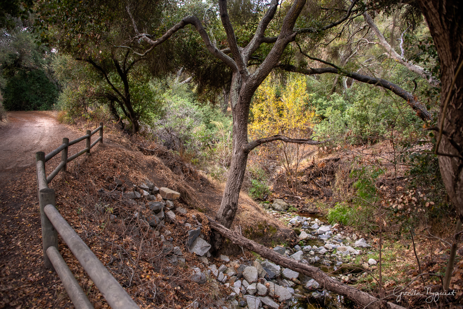 Wood Canyon Trail Hike on Dec. 31, 2020